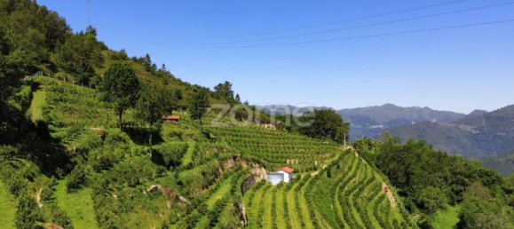 2 bedrooms House in Vieira do Minho, Portugal No. 32921 4