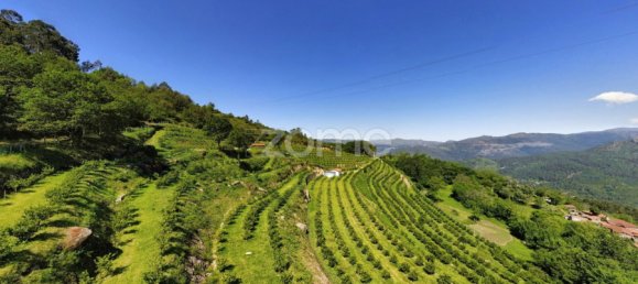 2 bedrooms House in Vieira do Minho, Portugal No. 32921 7