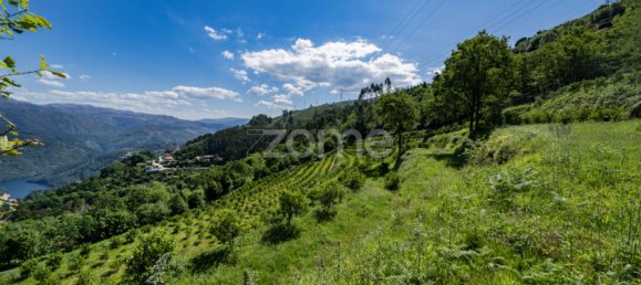 2 bedrooms House in Vieira do Minho, Portugal No. 32921 13