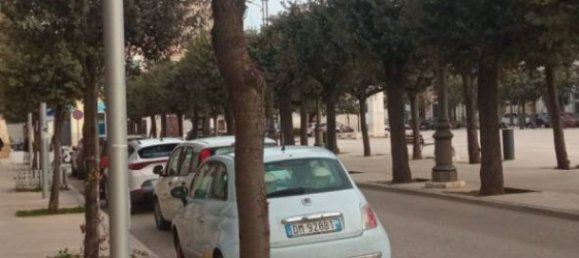 2 Schlafzimmer Wohnung in Mola di Bari, Italy, Nr. 37415 8