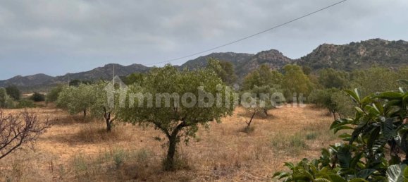 3 chambres Maison à Siniscola, Italy No. 339171 21