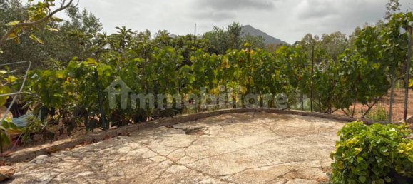 3 chambres Maison à Siniscola, Italy No. 339171 9