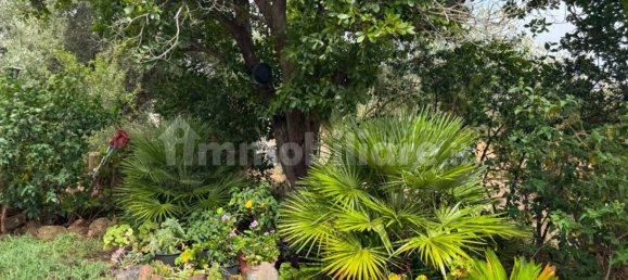 3 chambres Maison à Siniscola, Italy No. 339171 20