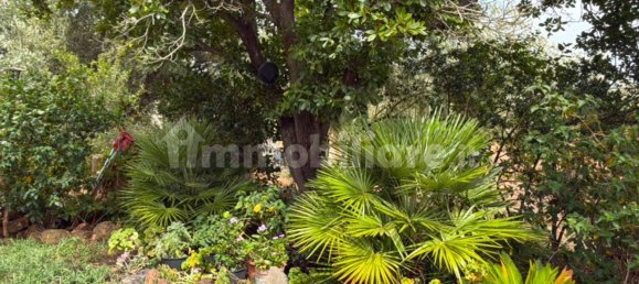 3 chambres Maison à Siniscola, Italy No. 339171 5