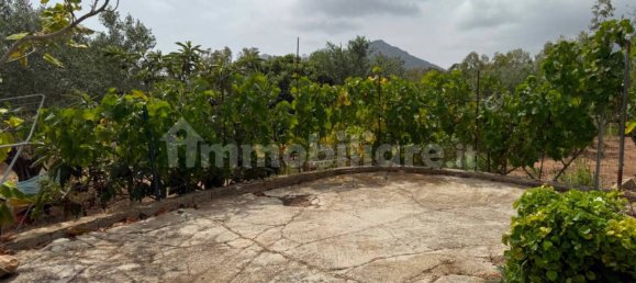 3 chambres Maison à Siniscola, Italy No. 339171 22