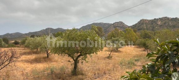 3 chambres Maison à Siniscola, Italy No. 339171 11