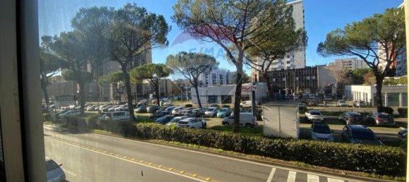 4 rooms Commercial property in Rome, Italy No. 172494 6