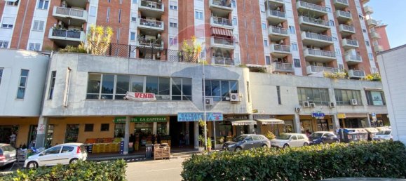 4 rooms Commercial property in Rome, Italy No. 172494 27