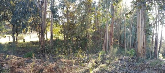  قطعة أرض في Paredes de Coura, Portugal 1140متر مربع رقم 53501 2