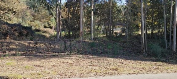  قطعة أرض في Paredes de Coura, Portugal 1140متر مربع رقم 53501 9