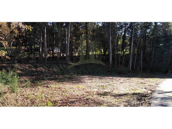  قطعة أرض في Paredes de Coura, Portugal 1140متر مربع رقم 53501