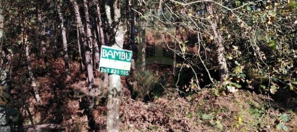  قطعة أرض في Paredes de Coura, Portugal 1140متر مربع رقم 53501 4