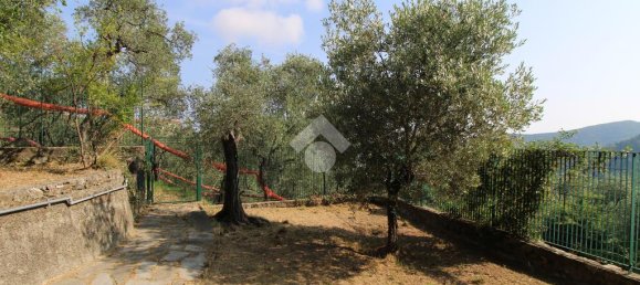 3 chambres Villa à Leivi, Italy No. 381039 20