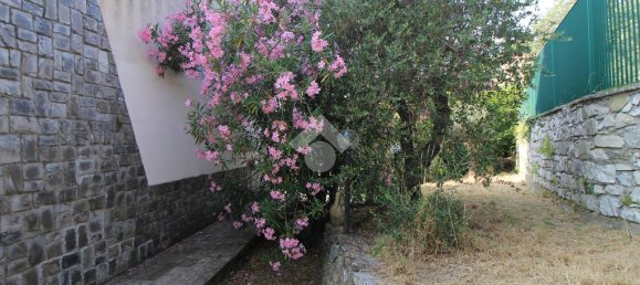 3 chambres Villa à Leivi, Italy No. 381039 22