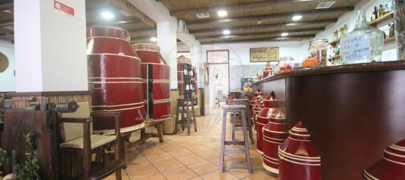 Propriété commerciale à Grandola, Portugal 491m² No. 88434 26