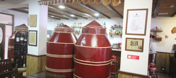 Propriété commerciale à Grandola, Portugal 491m² No. 88434 9