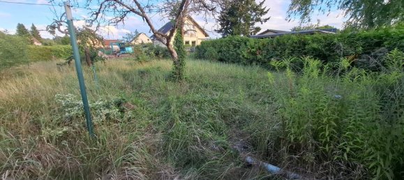 1 bedroom House in Brandenburg an der Havel, Germany No. 359639 15