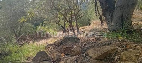 4000m² Land in Lastra a Signa, Italy No. 374537 7