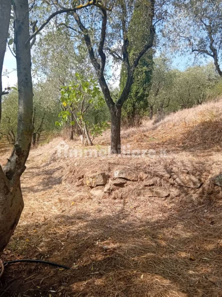 4000m² Land in Lastra a Signa, Italy No. 374537