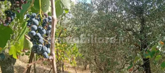 4000m² Land in Lastra a Signa, Italy No. 374537 8