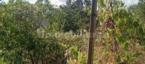 4000m² Land in Lastra a Signa, Italy No. 374537 2