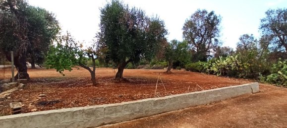 5-Zimmer Villa in Ceglie Messapica, Italy, Nr. 29460 39