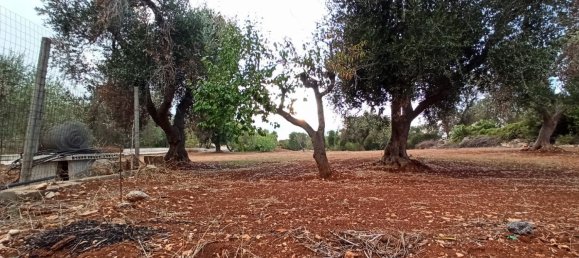 5-Zimmer Villa in Ceglie Messapica, Italy, Nr. 29460 18