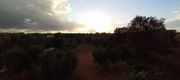 5-Zimmer Villa in Ceglie Messapica, Italy, Nr. 29460 24