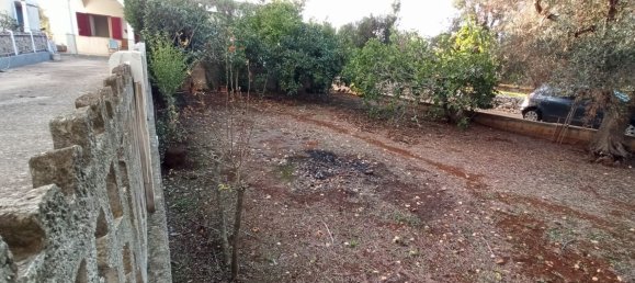 5-Zimmer Villa in Ceglie Messapica, Italy, Nr. 29460 20