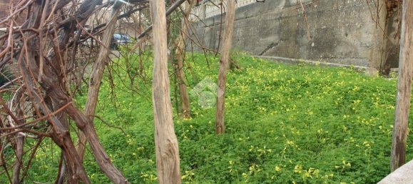 1 chambre Appartement à Belvedere Marittimo, Italy No. 86510 12