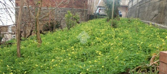 1 chambre Appartement à Belvedere Marittimo, Italy No. 86510 13