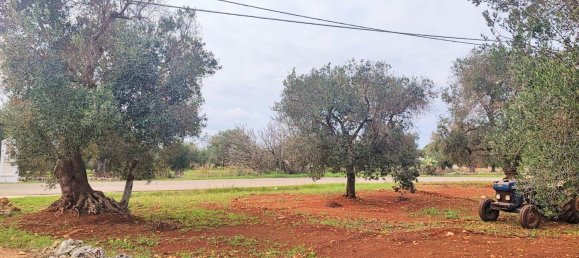 5000m² Land in Carovigno, Italy No. 169120 3