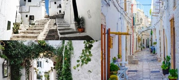 5000m² Land in Carovigno, Italy No. 169120 19