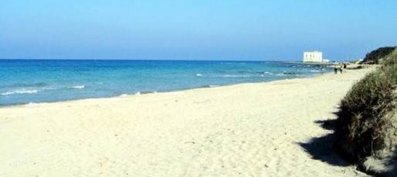 5000m² Land in Carovigno, Italy No. 169120 24