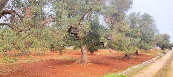 5000m² Land in Carovigno, Italy No. 169120 16