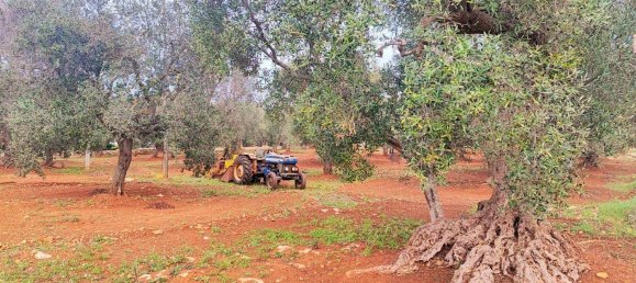 5000m² Land in Carovigno, Italy No. 169120 11