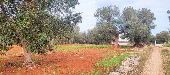 5000m² Land in Carovigno, Italy No. 169120 7