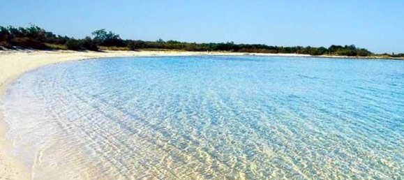 5000m² Land in Carovigno, Italy No. 169120 23