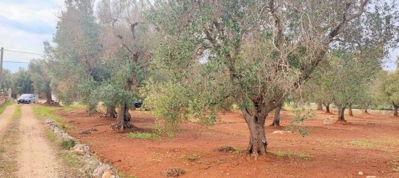 5000m² Land in Carovigno, Italy No. 169120 15