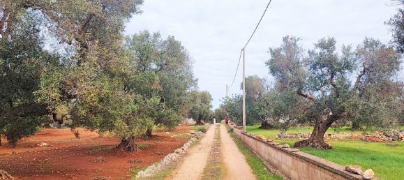 5000m² Land in Carovigno, Italy No. 169120 17