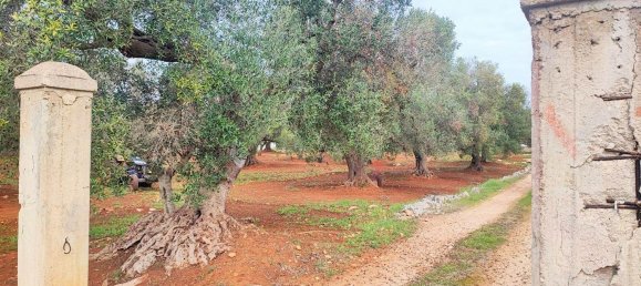 5000m² Land in Carovigno, Italy No. 169120 18