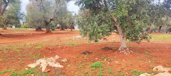 5000m² Land in Carovigno, Italy No. 169120 14