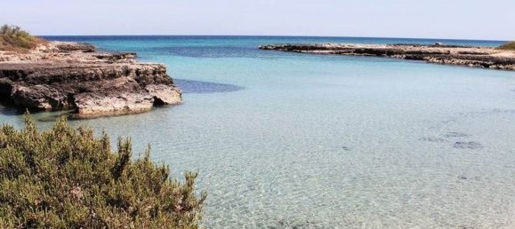 5000m² Land in Carovigno, Italy No. 169120 22