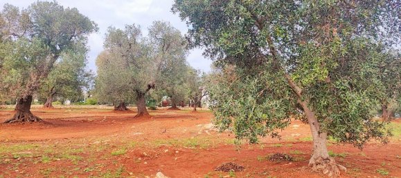 5000m² Land in Carovigno, Italy No. 169120 13