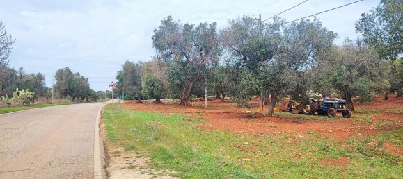 5000m² Land in Carovigno, Italy No. 169120 10