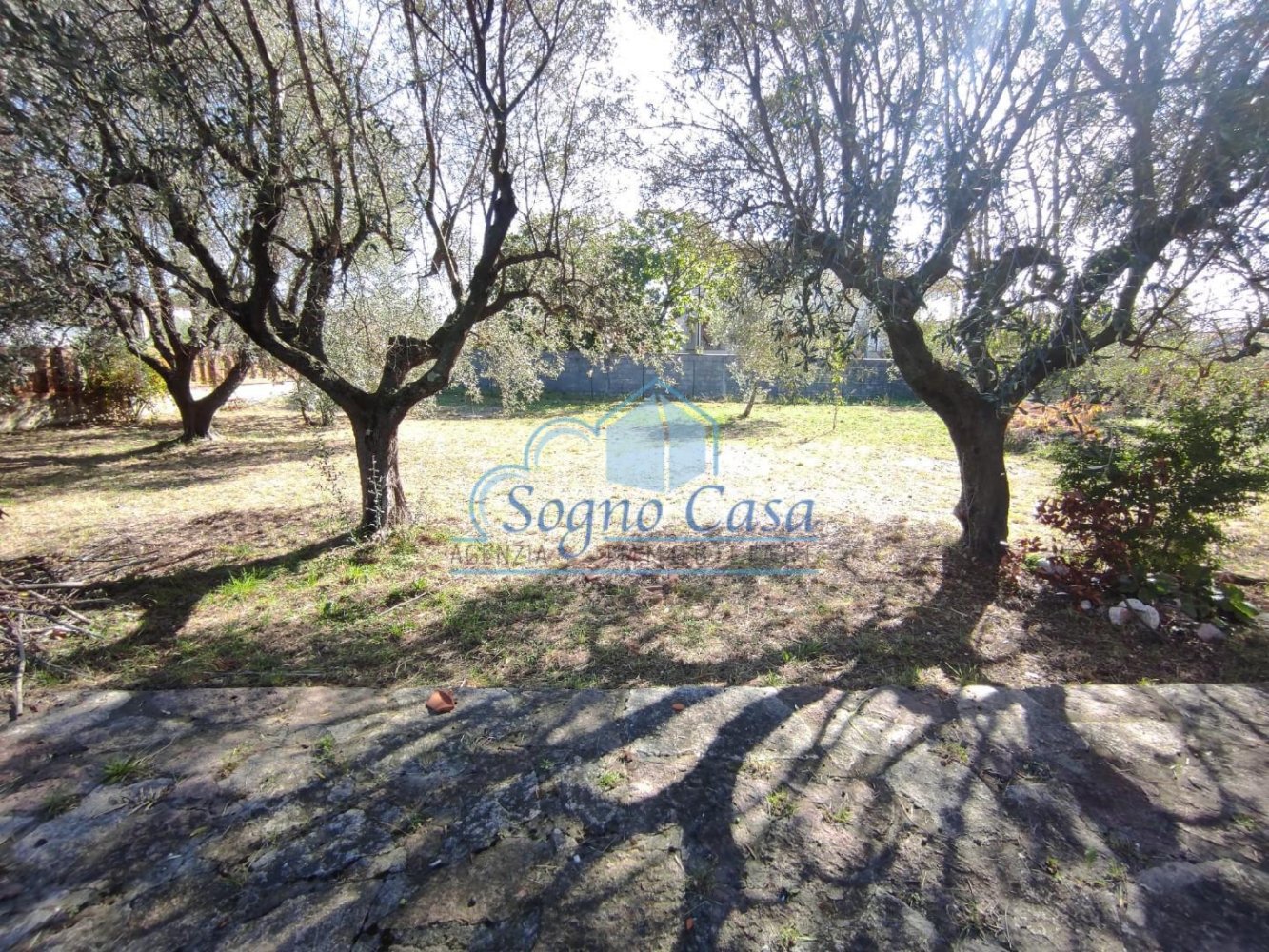 4 Schlafzimmer Villa in Luni, Italy, Nr. 147345