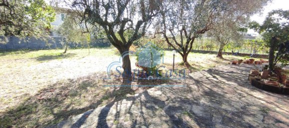 4 Schlafzimmer Villa in Luni, Italy, Nr. 147345 3