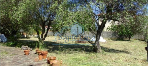 4 Schlafzimmer Villa in Luni, Italy, Nr. 147345 24