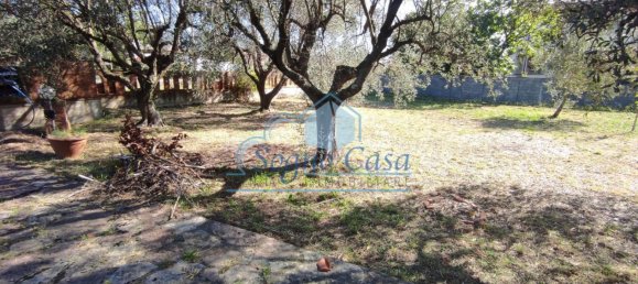 4 Schlafzimmer Villa in Luni, Italy, Nr. 147345 2