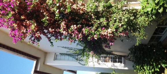 5 غرف نوم منزل في Braga, Portugal رقم 6512 2